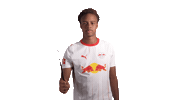 Wizard Rbl Sticker by RB Leipzig