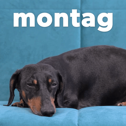 Montag