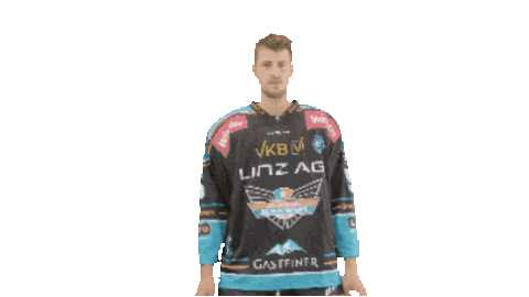 Austria Geschmack Sticker by Black Wings Linz