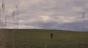 Run Away Sally Hawkins GIF by CanFilmDay