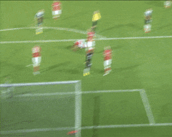 celebration flip GIF by Southampton FC