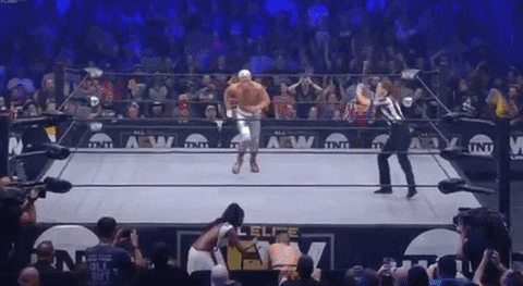 The Elite ÄEw GIF by All Elite Wrestling on TNT
