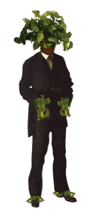 Plant Life Fun Sticker by Ryan Seslow