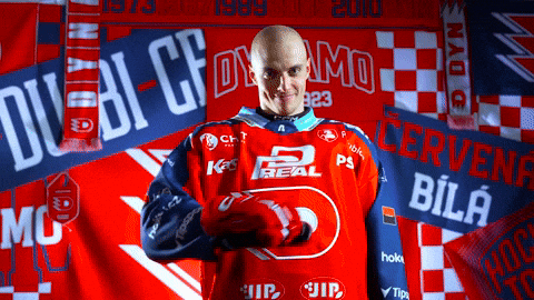 Hockeytown GIF by HC Dynamo Pardubice