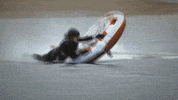 cmt GIF by Redneck Island