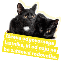 Mucek Sticker by Lidl Slovenija