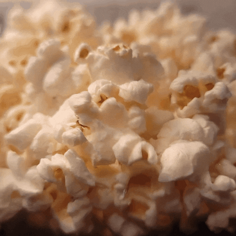Ourwrensnest giphyupload GIF