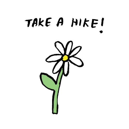 flowers leave Sticker by Aerie
