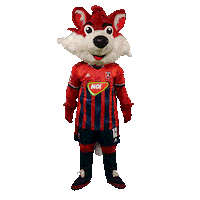 molfehervarfcgif fox roka vidi szekesfehervar Sticker