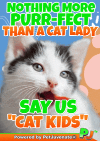 Puss In Boots Cat GIF by PetJuvenate - PJ