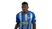 Hertha Berlin Ok Sticker by Hertha BSC