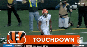 Bengal Tiger Football GIF by NFL