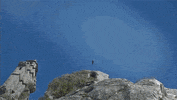 Bird Flying GIF by Xbox