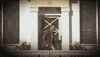 show watching GIF