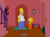 homer simpson GIF