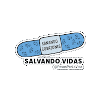 Provida Sticker by Pasos Por La Vida