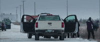 Polar Bear Winter GIF by TIFF
