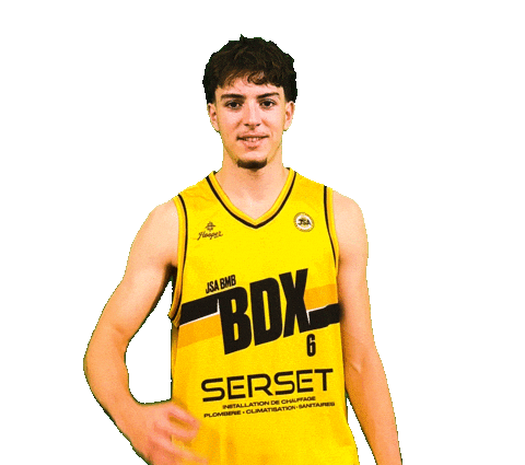 Basket Bordeaux Sticker by JSABMB