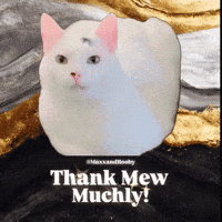 White Cat Thank You GIF