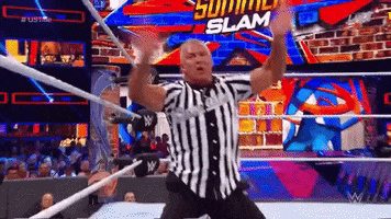 wwe sports wwe wrestling freak out GIF