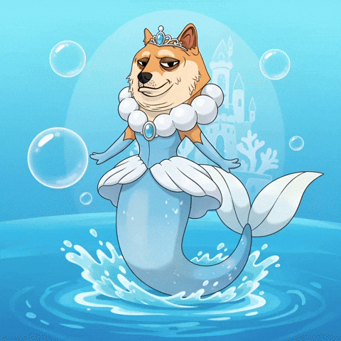 Splashing Shiba Inu GIF by Doge Pound