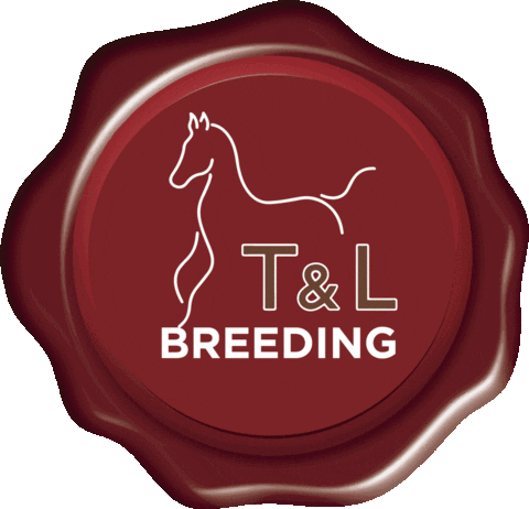 Tl Sticker by My Horse Dealer