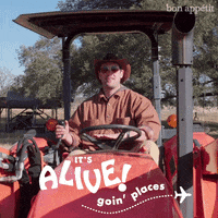 brad it&#39;s alive GIF by Bon Appetit Magazine