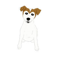 Dog Puppy Sticker by jenny henderson studio