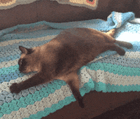 meh leave me alone GIF by Sarah Zucker