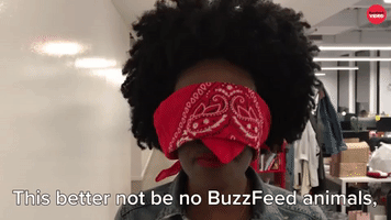 BuzzFeed Animal Bullshit