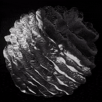 VeletaStudioLab veletastudiolab GIF