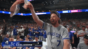 Celebrate Kansas City Royals GIF by MLB
