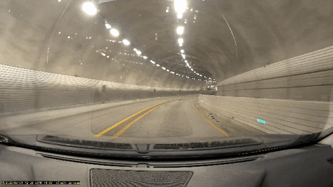 sdfwefwefwa giphyupload GIF