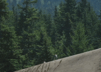 Mountain Bike Flip GIF by YT Industries