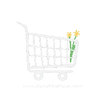 Lindy Boutique Aruba Sticker by Lindy Lifestyle Boutique