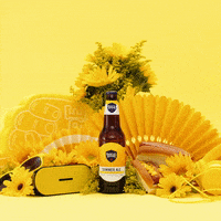 Sam Adams Summer GIF by Samuel Adams Beer