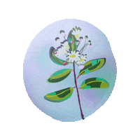 Flower Sticker