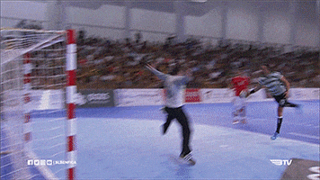 handball ristovski GIF by Sport Lisboa e Benfica