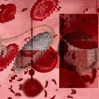 loop glitch GIF by Death Orgone