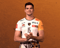 Bravo Ok GIF by trefl_gdansk