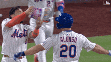 Polar Bear Baseball GIF by New York Mets