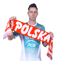 Cheer Volleyball Sticker by PGE Skra Bełchatów
