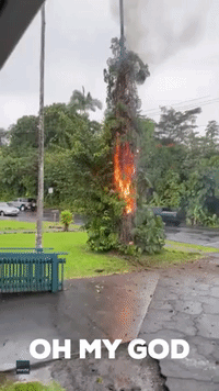 "Lightning Sets Tree Ablaze on Hawaii's Big Island