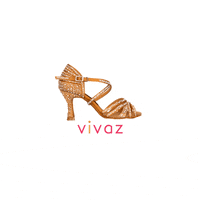 GIF by Vivaz Dance