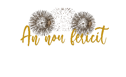 New Year Fireworks Sticker