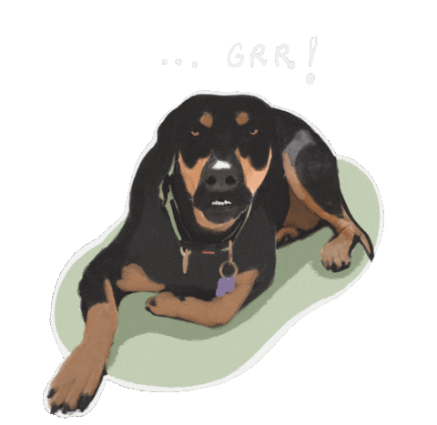 Dog Dibujo Sticker