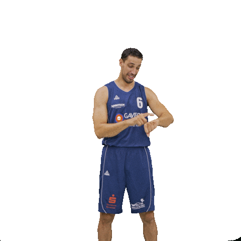 Bensheim Sticker by VfL Basketball