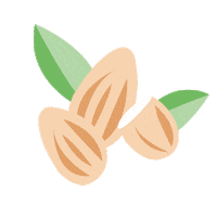 Almond Mandel Sticker by dasboep