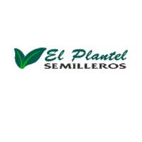 Semillas Cosecha Sticker by El plantel semilleros