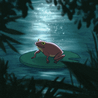 jitterbugbear animation animals frog 2d animation GIF